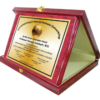 Custom Branded Award Plaques - Personalized Wood & Metal Wall Awards for Corporate Honors